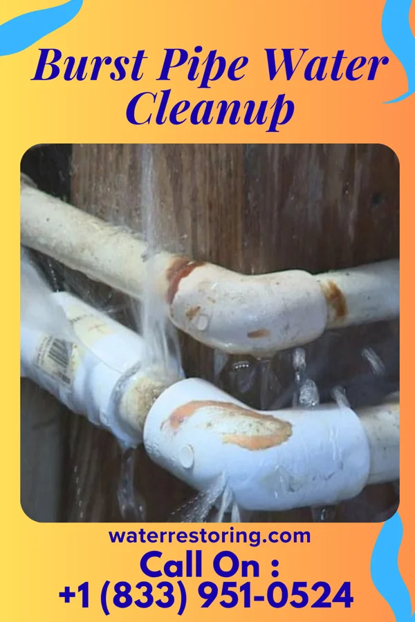 Burst Pipe Water Cleanup in Lime Lake, NY