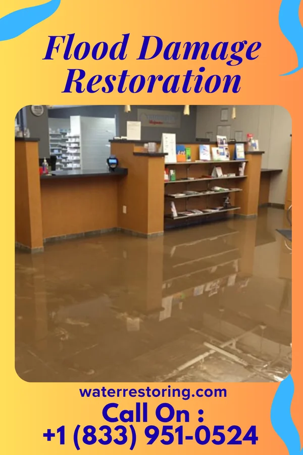 Flood Damage Restoration in Lime Lake, NY
